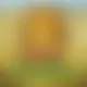 Zagraj Mega Moolah z Games Global w {"id":10,"name":"SpinBetter","design":{"logo":"spinbetter-logo.uxBIfR.svg","favicon":"spinbetter-favicon.Y2WHdY.png","banner_poker":"spinbetter-poker-l2Evg0.webp","banner_mobile":"spinbetter-mobile-1qtJHk.webp","block_bg_color":"#052e16","image_bg_color":"#047857","banner_bg_color":"#042f2e","block_text_color":"#ffffff","primary_bg_color":"#166534","banner_text_color":"#fff","footer_logos_type":"white","block_round_radius":"0","primary_text_color":"#ffffff","button_round_radius":"9999px","banner_welcome_bonus":"spinbetter-welcome-bonus-40eIOw.webp","primary_button_bg_color":"#fde047","primary_button_text_color":"#020617","secondary_button_bg_color":"#e11d48","secondary_button_text_color":"#fff"},"created_at":"2025-05-14T09:25:22.000000Z","updated_at":"2025-05-14T09:25:22.000000Z","deleted_at":null}
