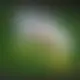 Zagraj Let It Ride z Playtech w {"id":10,"name":"SpinBetter","design":{"logo":"spinbetter-logo.uxBIfR.svg","favicon":"spinbetter-favicon.Y2WHdY.png","banner_poker":"spinbetter-poker-l2Evg0.webp","banner_mobile":"spinbetter-mobile-1qtJHk.webp","block_bg_color":"#052e16","image_bg_color":"#047857","banner_bg_color":"#042f2e","block_text_color":"#ffffff","primary_bg_color":"#166534","banner_text_color":"#fff","footer_logos_type":"white","block_round_radius":"0","primary_text_color":"#ffffff","button_round_radius":"9999px","banner_welcome_bonus":"spinbetter-welcome-bonus-40eIOw.webp","primary_button_bg_color":"#fde047","primary_button_text_color":"#020617","secondary_button_bg_color":"#e11d48","secondary_button_text_color":"#fff"},"created_at":"2025-05-14T09:25:22.000000Z","updated_at":"2025-05-14T09:25:22.000000Z","deleted_at":null}